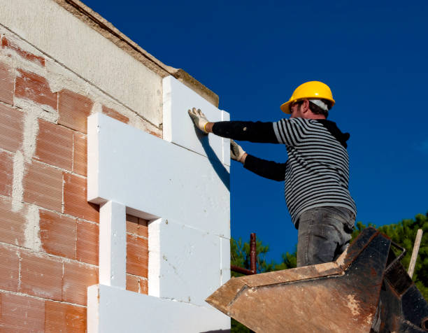  Palmview South, TX Insulation Contractor Pros