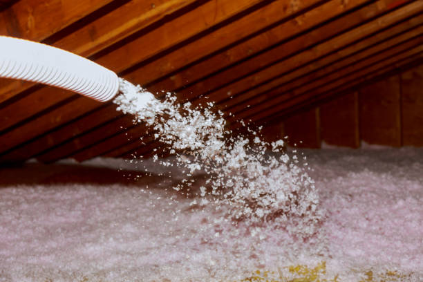 Best Attic Insulation Installation  in Palmview South, TX