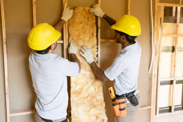 Best Wall Insulation Contractor  in Palmview South, TX