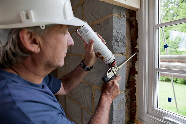 Best Insulation Contractor Near Me  in Palmview South, TX