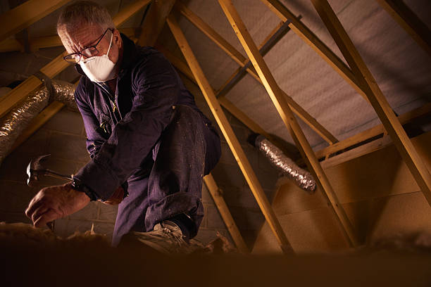 Best Best Insulation Companies  in Palmview South, TX
